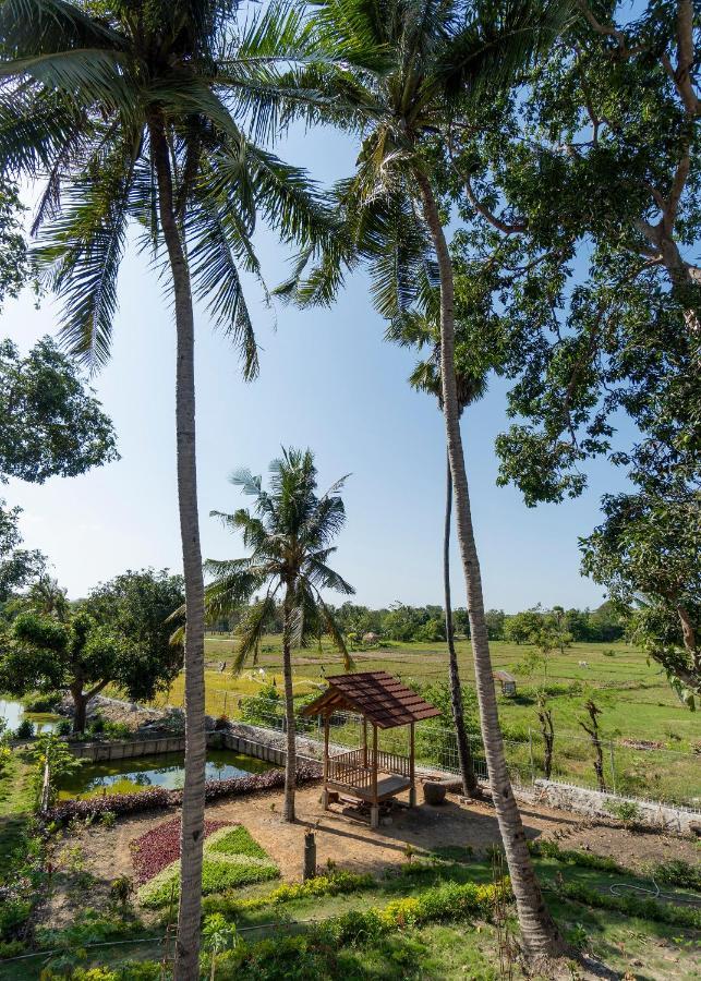 Casa Kandara Waingapu Ngoại thất bức ảnh